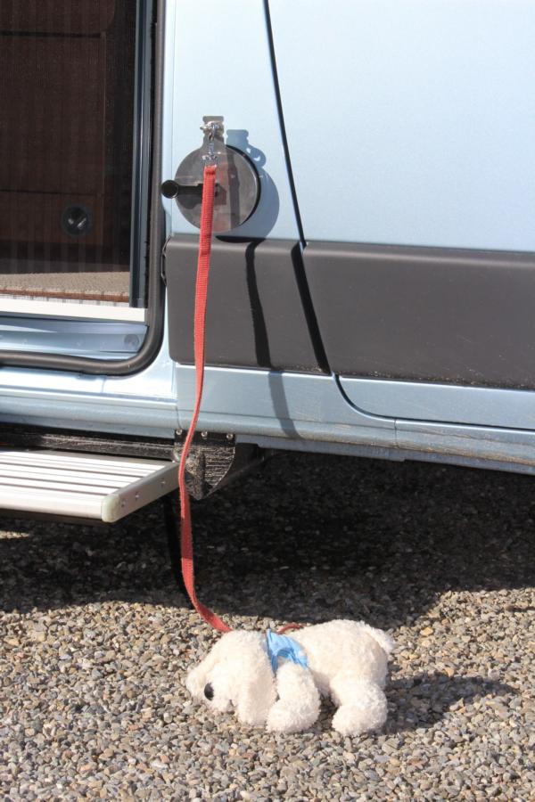 Abspannhalter / Zurröse für alles Mögliche, extrem vielseitig einsetzbar.